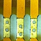 Binocular Zoom Stereo Microscope